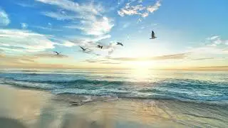 Tranquility Instrumental: Still Your Mind and Spirit with Song (50 Mins)