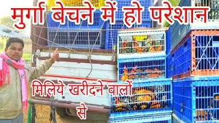 सोनाली मुर्गी बेचने का दिक्कत नहीं है सोनाली मुर्गी खरीदने वाला छत्तीसगढ़ का डीलर#sonalimurgidiler