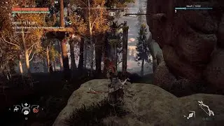 How to Reach 2nd Dreamwillow Loot Cache, Horizon Zero Dawn