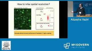Day 1 Session 1. Alipasha Vaziri, Single cell resolution cortex-wide volumetric recording
