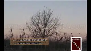 EP 02    TURDIDI DA CAPANNO con Richiami Cantori -  DA LUGARIPOCKET SPONSOR