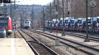 Train For Breakfast #173 - BR193 773 und BR 151 018 in Zorneding [ 02.2019 ]