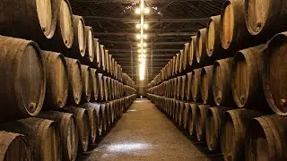 Delve into the history of port wine and Baron Joseph James Forrester&rsquo;s lasting legacy