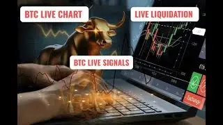 BTC LIVE CHART BTC LIVE SIGNALS &  LIVE LIQUIDATION