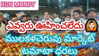 25/01/25 Mulakalacheruvu Tomato Market price Today || Today Tomato Market rate in Mulakalacheruvu