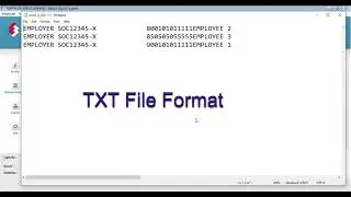 MILLION PAYROLL E SUBMISSION