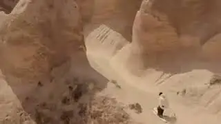 Wonder book of records