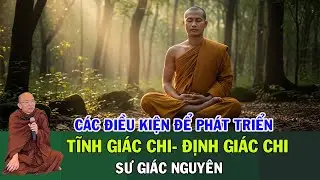 7 Điều Kiện Phát Triển Tỉnh Giác Chi -10 Điều Kiện Phát Triển Định Giác Chi | Sư Giác Nguyên