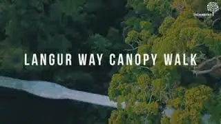 Canopy Walk Penang Hill
