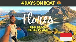 I Spent 4 DAYS ON BOAT in INDONESIA - PINK BEACH & Padar Island Tour | Indonesia Vlog #7