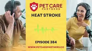 EP 384: Heat Stroke in Dogs and Cats &ndash; Recognition, Emergency Care & Prevention | Pet Care Partners