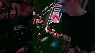 What's up - 4 Non Blondes (cover) live