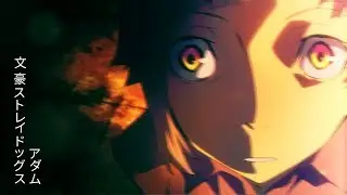 Bungou Stray Dogs「AMV」-  Stay