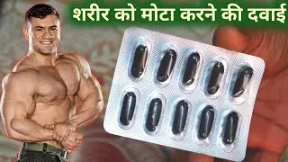 Daly 1 capsule शरीर को मोटा बना देगा |mota hone ki dava। Weight gainer dava। Nervigud Gold capsule