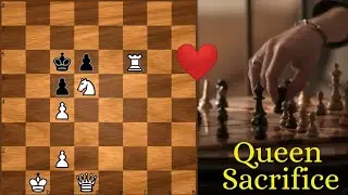 Who Needs A Queen In Chess | Beautiful Chess Problems | Composed by Shinkman, William Anthony