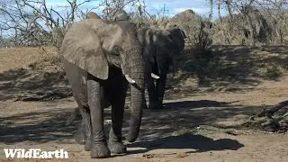 Taking in the sights and sounds