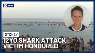 12-Year-Old Sydney Shark Attack Victim Nico Antic Honoured With Bondi Paddle-Out | 10 News