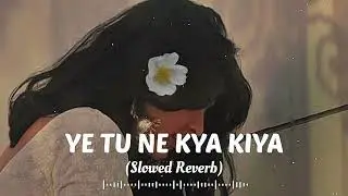 Yeh Tune Kya Kiya | Lofi Slowed + Reverb Vibes | Javed Bashir @Alimuddin-2025 