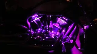 Kuryakyn Lizard Lights on my 03 100th Anniversary Edition V-Rod