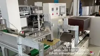 4 Servo Motors Single Straw Packing Machine Connects with Group Straw Packing Machine
