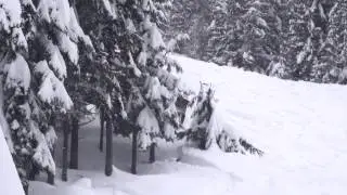 Silver Star Deep Powder