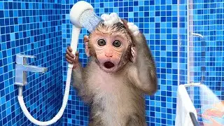 Monkey Baby Bon Bon Bathing And Going To The Gym, Had some Fruits