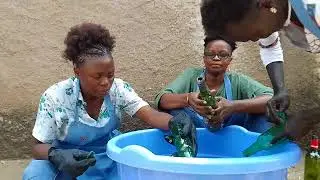 Glass Cutting skills 2024