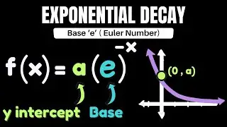 Exponential Decay With Base 'e' - Why Does It Make Sense? ( Master It In Less Than 4 Minutes)