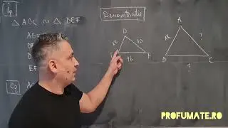 Problema teorema fundamentala a asemanarii - Gimnaziu clasa a 7-a