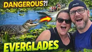 Everglades Tour - We Saw Real Alligators Up Close!