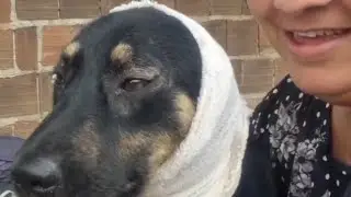 Cuidando da minha cachorrinha 🥰