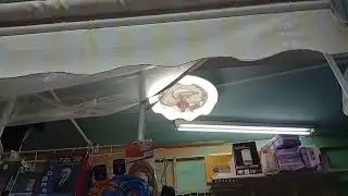 Unknown ceiling fan light by shop 