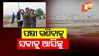 Mid-Winter Bird Census at 52 Forest Divisions of Odisha Expected Soon