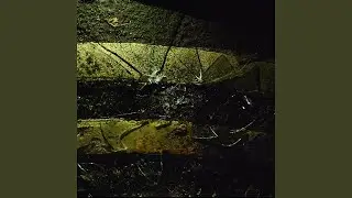 CCTV