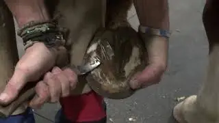 Certification Demo Trim