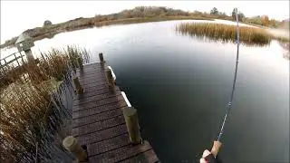 NEW ZEALAND TROUT FISHING THE BIRDS
