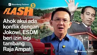 Ahok akui ada konflik dengan Jokowi, ESDM beri izin lagi tambang Raja Ampat