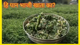 आईच्या हातची हरभऱ्याच्या पानांची भाजी | हिवाळ्यातली साधी पण खास | Harbharyachya Panachi Bhaji