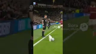 Cat Blocks Epic Football Goal! #football #arsenal #soccer #premierleague #liverpool