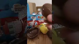 Dev s&uuml;rpriz yumurta kutu a&ccedil;ılışı
