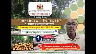 Forestry Division: Commercial Forestry - A Forestry Division Perspective