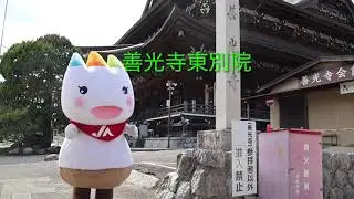 にしさんぽ「善光寺東別院」