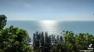 #seamare #Shohag HOSSAIN,#subscribe #viral #short #foryou