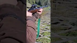 Sako VL63 Finnwolf 308w #sakointernational #hunting #leveractionrifle  #shootingrange #hunting