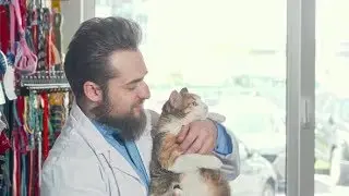 Friendly Vet Smiling To the Camera, Holding Cute Grumpy Cat | Stock Footage - Videohive