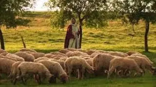 Ray Franz -- Protecting the flock, Watchtower style (