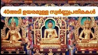 Golden Temple കാണാൻ കർണാടകയിലേക്ക് Palakkad to Coorg #pinkysfamily #travel #yt  #karnatakatourism   