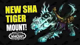 NEW INSANE MOUNTS Dataminded! Hint at MoP Classic! WoW The War Within | WoW Classic