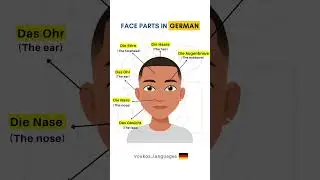 Face parts in German | Learn German Vocabulary | #germanforbeginners #learngerman #germanvocabulary
