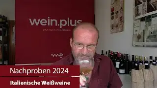 Nachproben 2024 | Italienische Weißweine